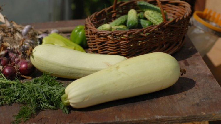 Снимка: freeimages