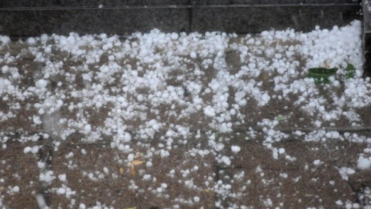 Снимка: архив, Булфото