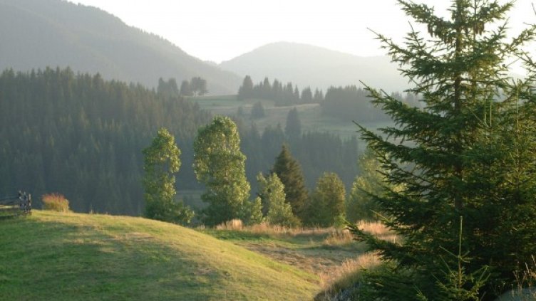 Снимка: Булфото, архив