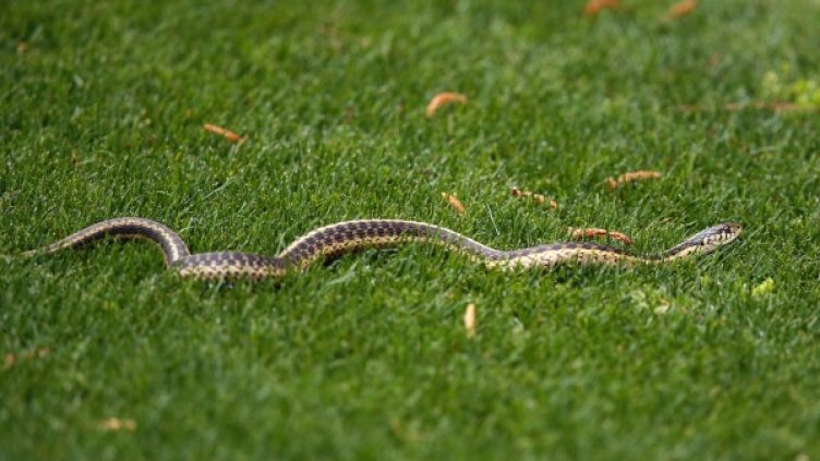 Снимка: архив Reuters