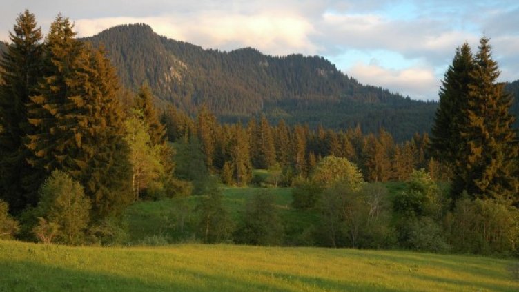 Снимка: архив Булфото