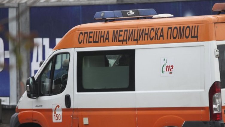 Снимка: Архив Булфото