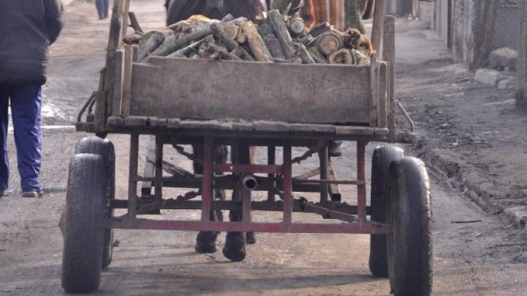 Снимка: Булфото, архив