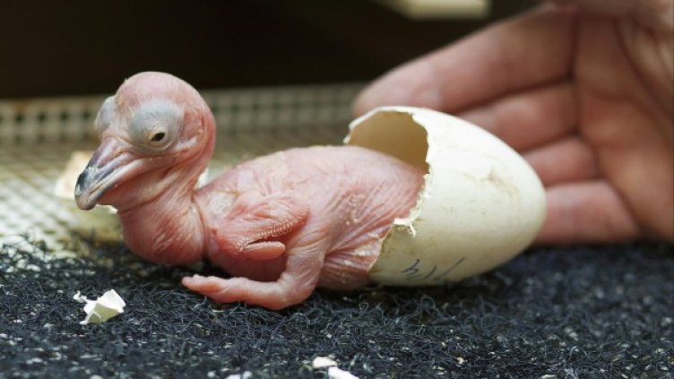 Снимка: Reuters, архив