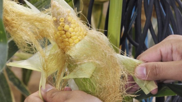 Снимка: архив, Reuters