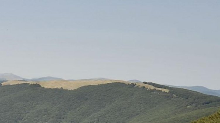 Снимка: Булфото, архив