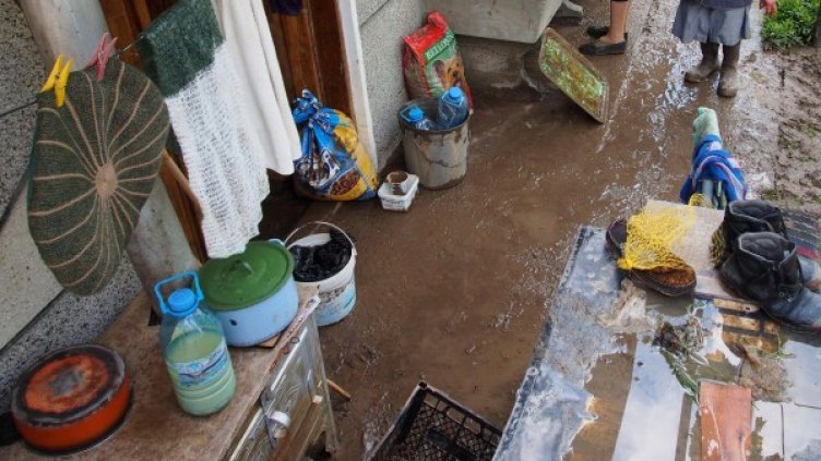 Снимка: Булфото, архив