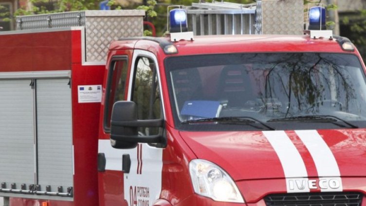 Снимка: архив Булфото