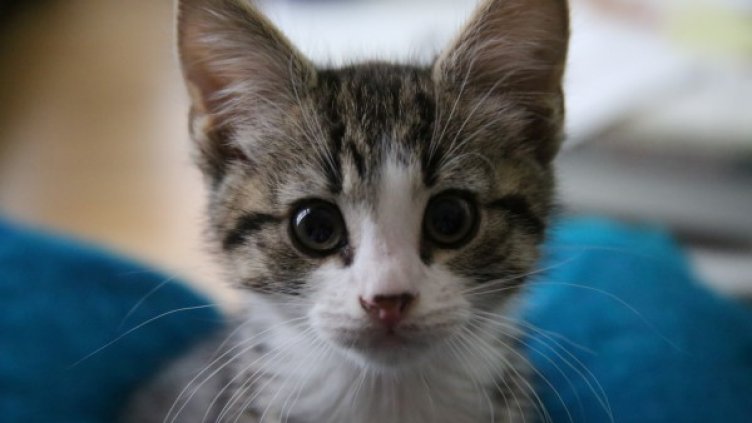 Снимка: Reuters, архив