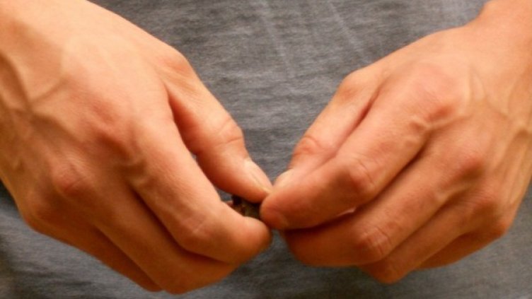 Снимка: flickr