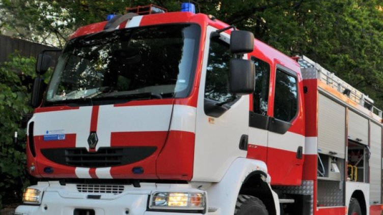 Снимка: Архив Булфото