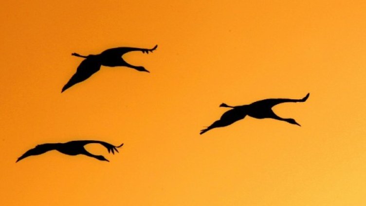 Снимка: архив, Reuters