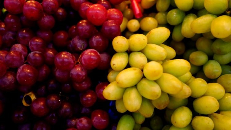 Снимка: архив, Reuters