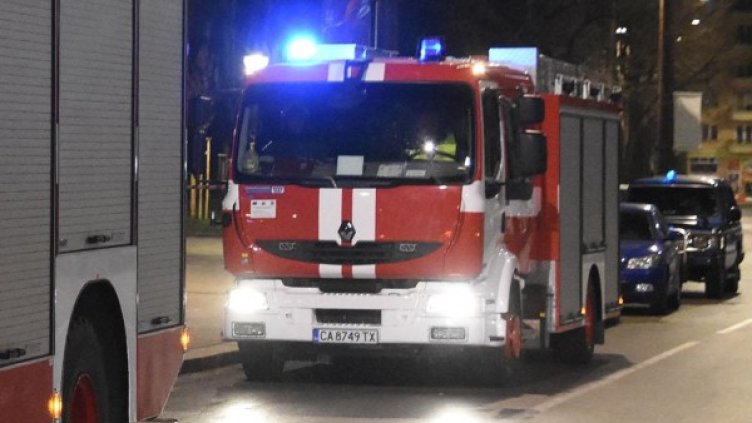 Снимка: Булфото, архив