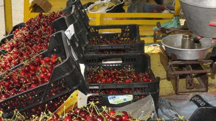 Снимка: архив, Булфото