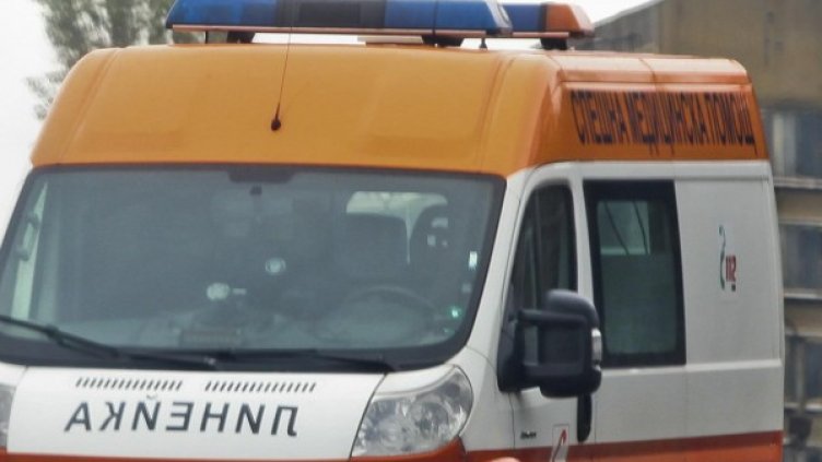 Снимка: Архив Булфото