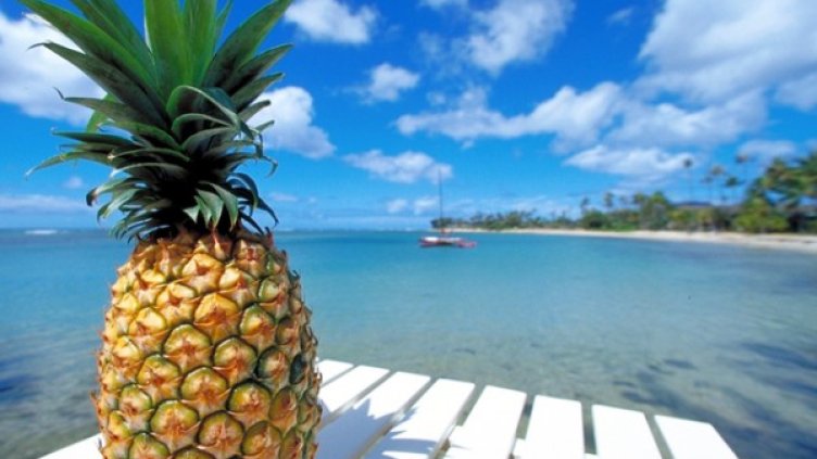 Снимка: freeimages