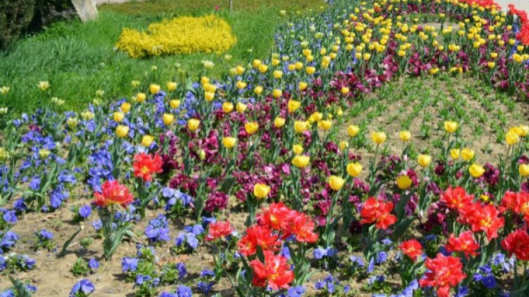 Снимка: архив, Булфото