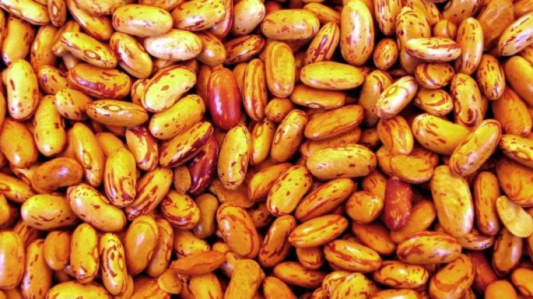 Снимка: freeimages