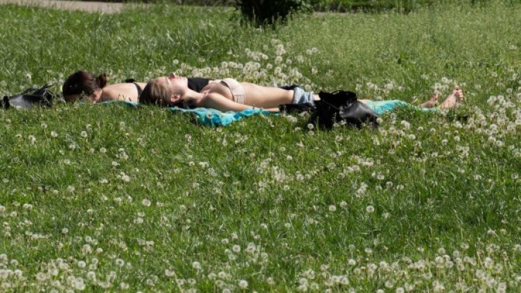 Снимка: архив, Булфото