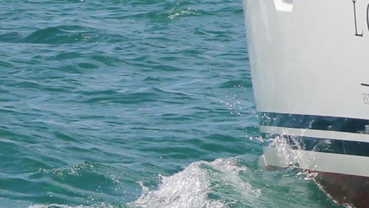 Снимка: архив, Булфото