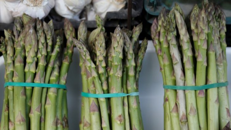 Снимка: Reuters, архив