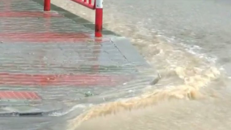 Снимка: Кадър "Нова телевизия"