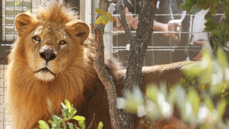 Снимка: архив Reuters