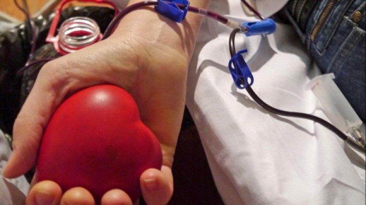 Снимка: Булфото, архив