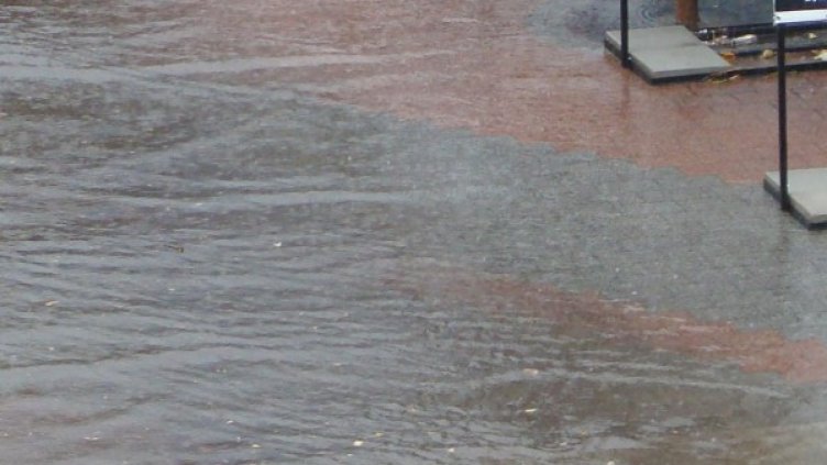 Снимка: Булфото, архив