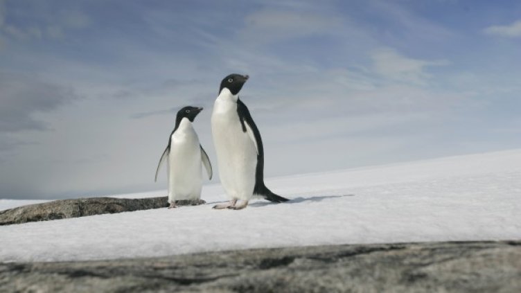 Снимка:  Reuters, архив