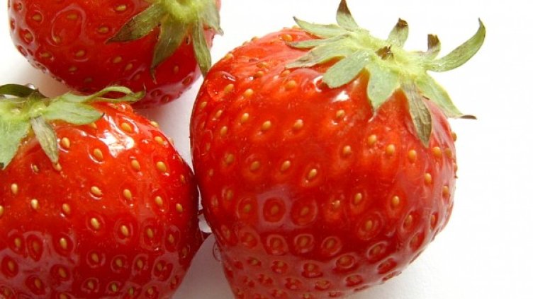 Снимка: freeimages