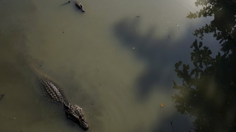 Снимка: архив, Reuters