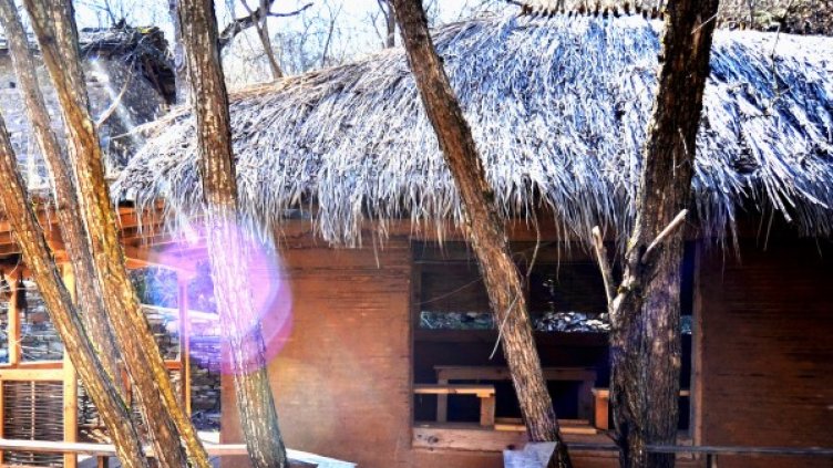 Снимка: Zenith Fusion Festival