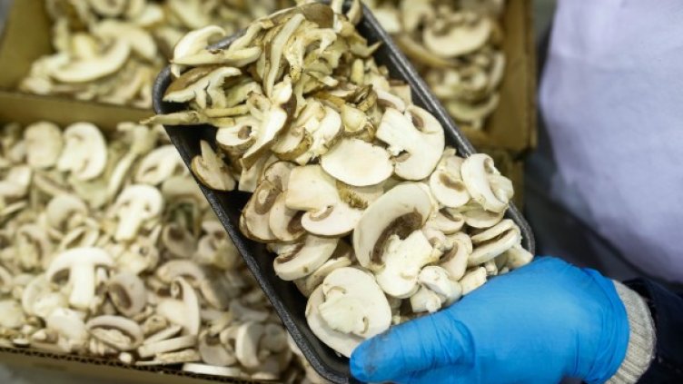 Снимка: архив, Reuters