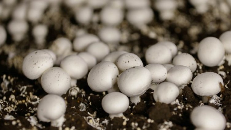 Снимка: Reuters, архив