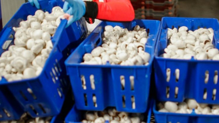 Снимка: Reuters, архив