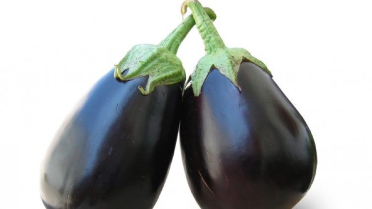 снимка: freeimages