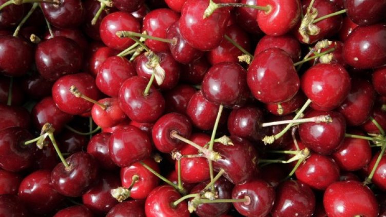 Снимка: Булфото