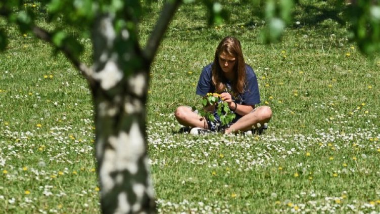 Снимка: Булфото, архив