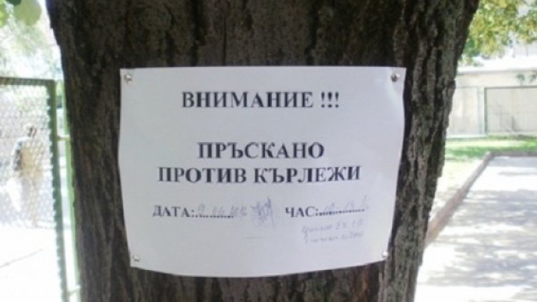 Снимка: Булфото, архив