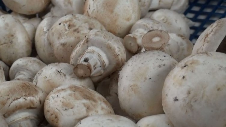 Снимка: Dnes.bg