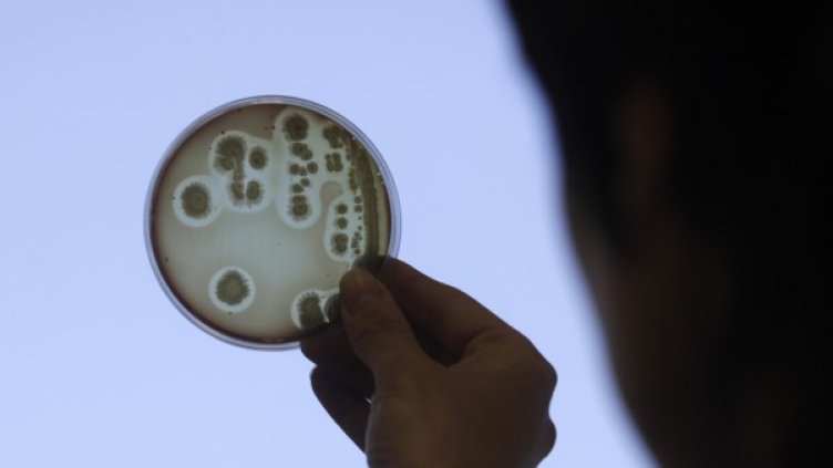 Снимка: Reuters, архив