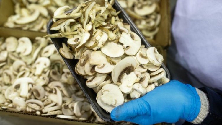 Снимка: Reuters, архив