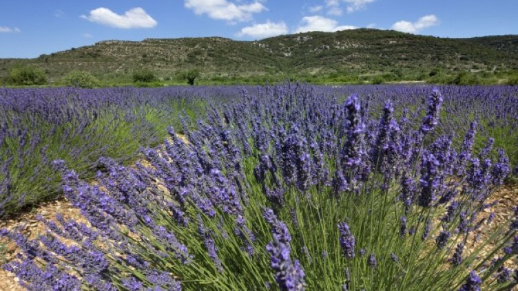 Снимка: Reuters, архив