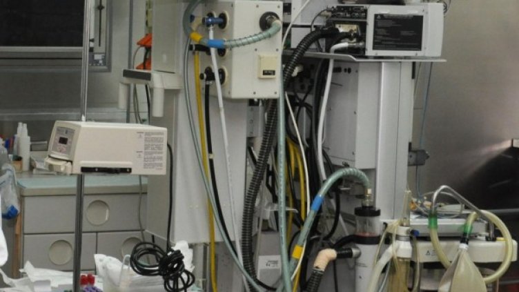 Снимка: архив, БулФото