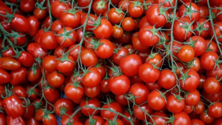 Снимка: архив, Reuters