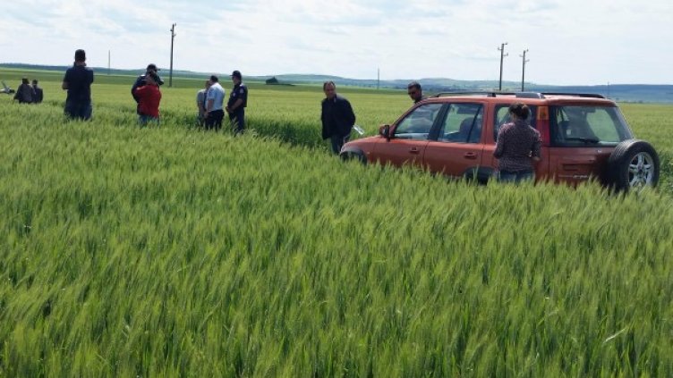 Снимка: архив Булфото