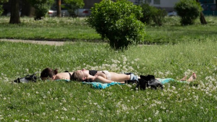 Снимка: Булфото, архив