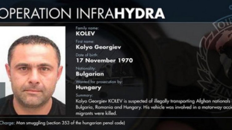 Снимка: Интерпол